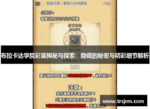 布拉卡达学院彩蛋揭秘与探索：隐藏的秘密与精彩细节解析