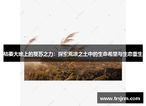 枯萎大地上的复苏之力：探索荒凉之土中的生命希望与生态重生